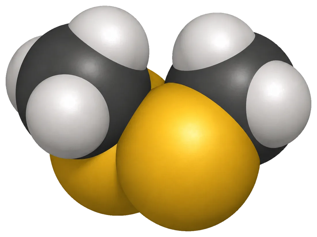 Space-filling model of dimethyl disulfide (CH3-S-S-CH3): two gold sulfur spheres bonded at the centre, each attached to a dark-grey carbon atom capped with white hydrogen atoms.