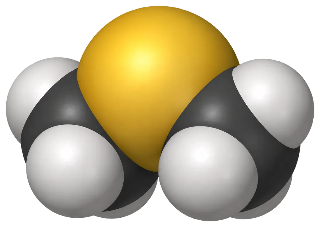 Space-filling model of dimethyl sulfide (CH3-S-CH3): a single gold sulfur sphere at the centre, flanked by two dark-grey carbon atoms, each capped with white hydrogen atoms.