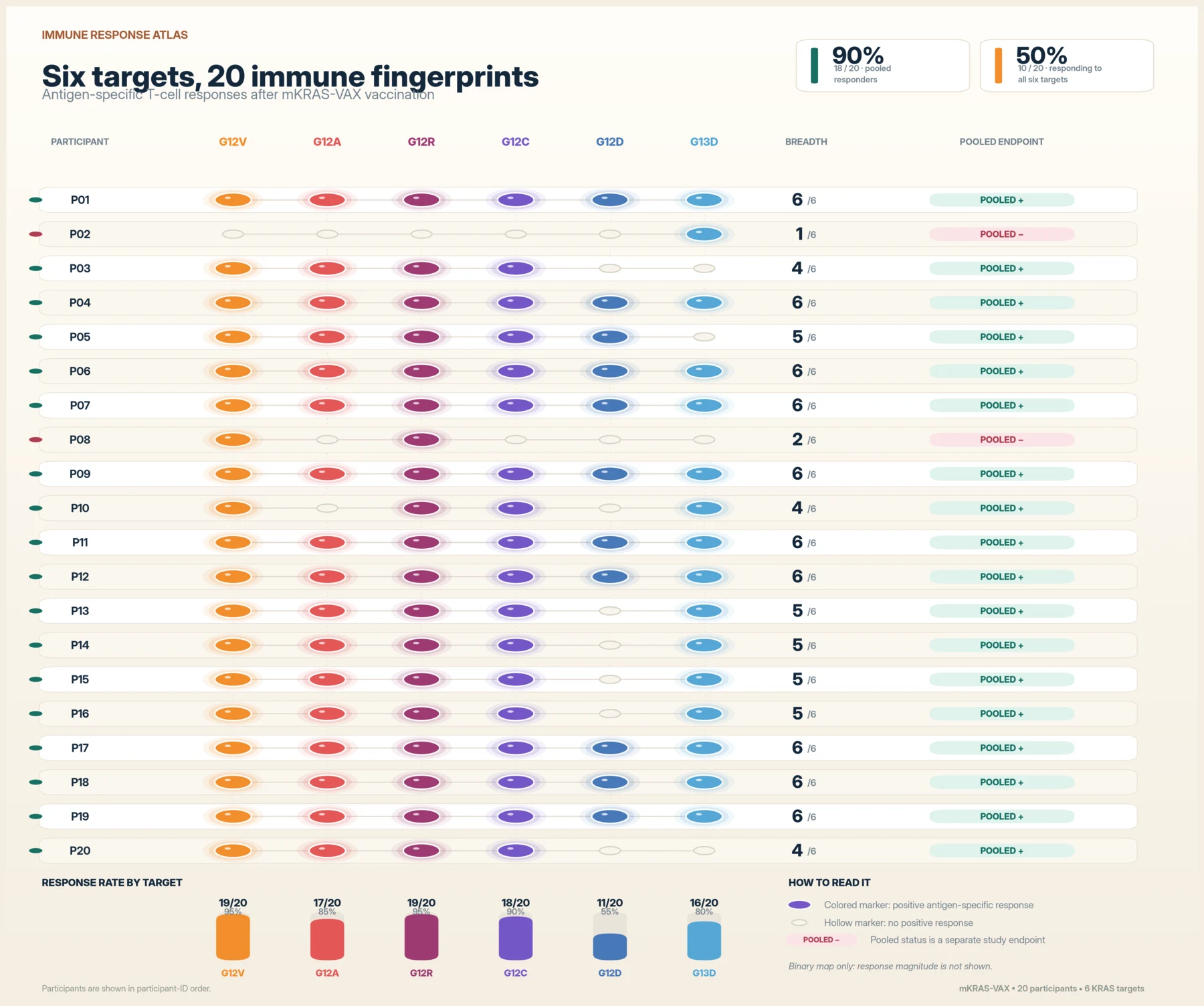 A participant-level matrix lists P01 through P20 in numerical order against six KRAS mutation targets. Coloured markers show positive antigen-specific T cell responses, hollow markers show no positive response, and a breadth column counts responses out of six. Ten participants respond to all six targets. P02 and P08, marked below the separate pooled endpoint, still show one and two positive target-specific responses. The chart is binary and does not show response magnitude.