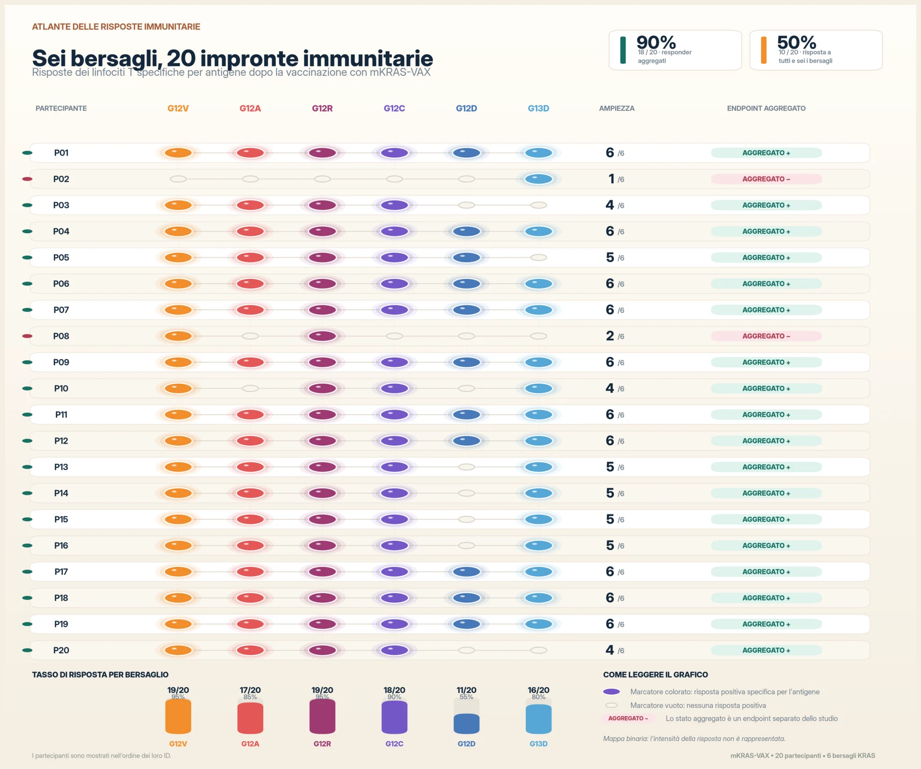 Una matrice per partecipante elenca P01–P20 in ordine numerico rispetto a sei mutazioni bersaglio di KRAS. I marcatori colorati indicano risposte positive dei linfociti T specifiche per l’antigene, quelli vuoti l’assenza di una risposta positiva; una colonna riporta il numero di risposte su sei. Dieci partecipanti rispondono a tutti e sei i bersagli. P02 e P08, sotto la soglia distinta dell’endpoint aggregato, mostrano comunque rispettivamente una e due risposte positive specifiche per il singolo bersaglio. Il grafico è binario e non mostra l’intensità delle risposte.